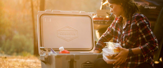 Packing Smarter: Organizing Food and Drinks in Different Cooler Styles