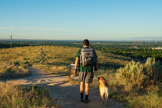 The 5 Best Backpack Coolers
