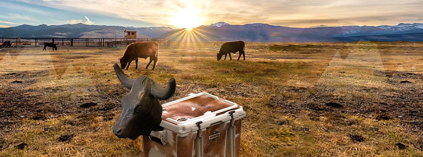 Gearing up for the National Finals Rodeo | Cordova Outdoors
