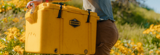 Adventure Boldly With Yellowstone