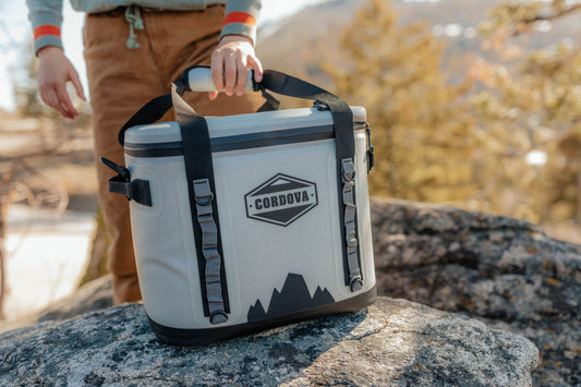 The Best Picnic Cooler for Fun in the Sun
