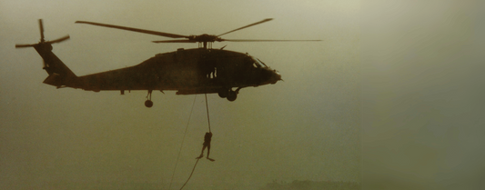 Brothers in Arms: A Veterans Day Reflection
