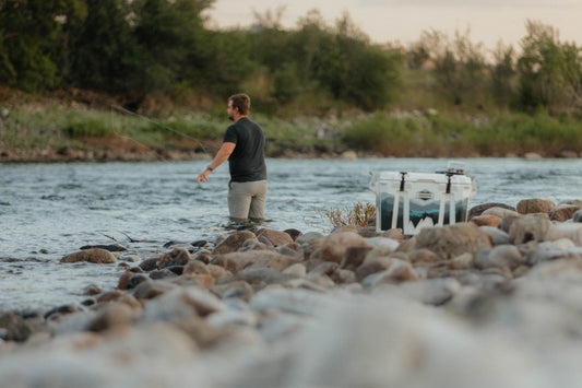 Why Cordova Coolers Cost More (And Why They’re Worth It)