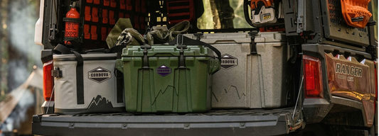 Cooler vs. Ice Chest: What's the Difference and Which One to Choose?