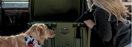 Cordova Coolers: A Buyer’s Guide to Choosing the Right Size