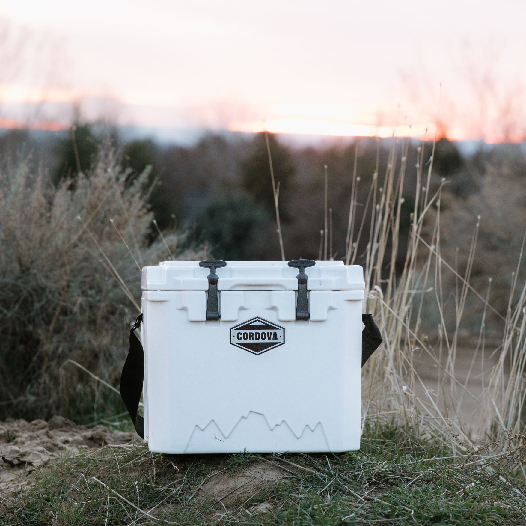 Basecamp Class 25 QT Cooler | Cordova Outdoors