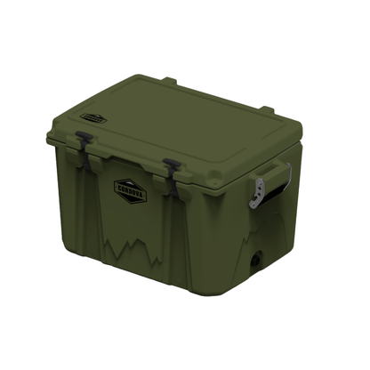  Rogue Adventurer Angle [Rogue]