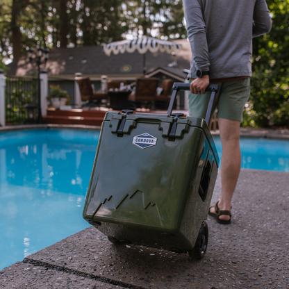 [Rogue]  [Snowcap] [Scree] [Yonder]